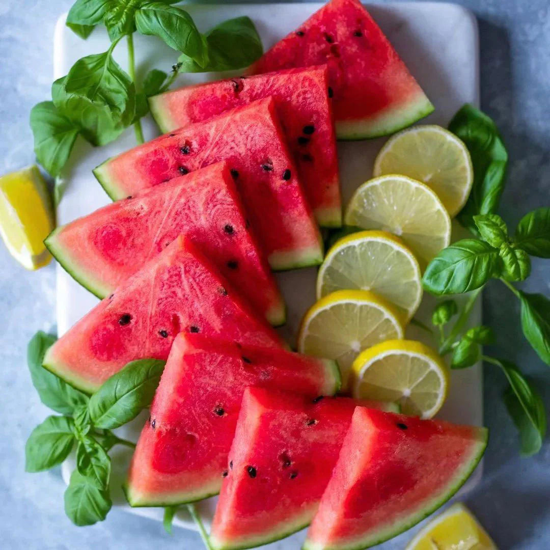 Wassermelonenscheiben mit Zitronenspalten und Basilikumblättern auf weißem Teller
